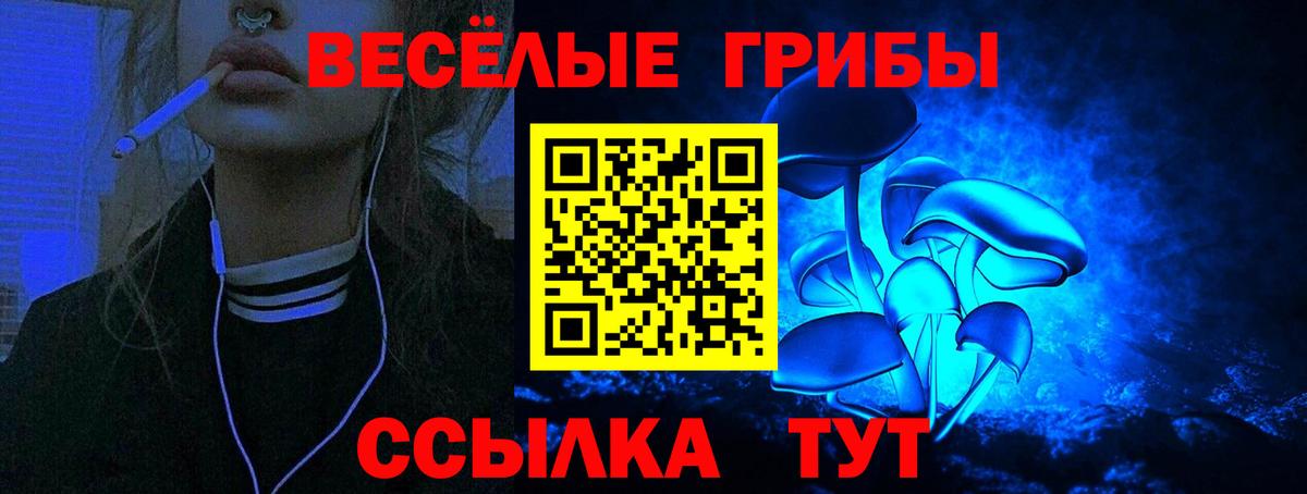Галлюциногенные грибы MAGIC MUSHROOMS Красногорск